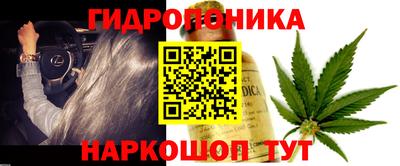 сатива Ирбит