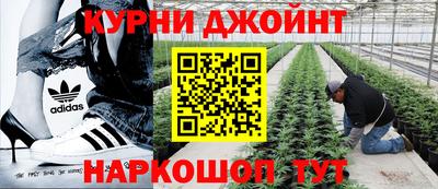 сатива Ирбит